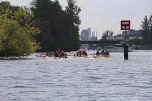IMG 0744