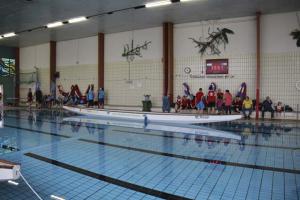 IMG 7775